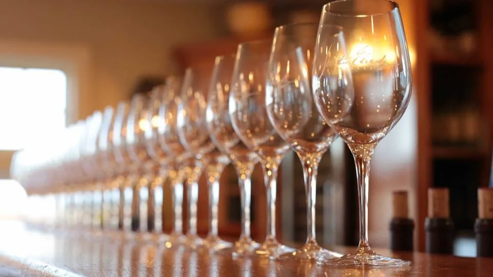 Saltwater Farm Vineyard gallery