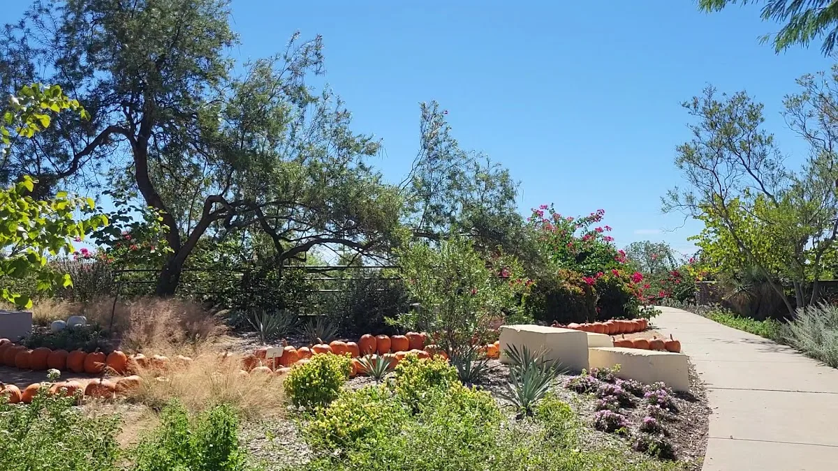 San Antonio Botanical Garden gallery
