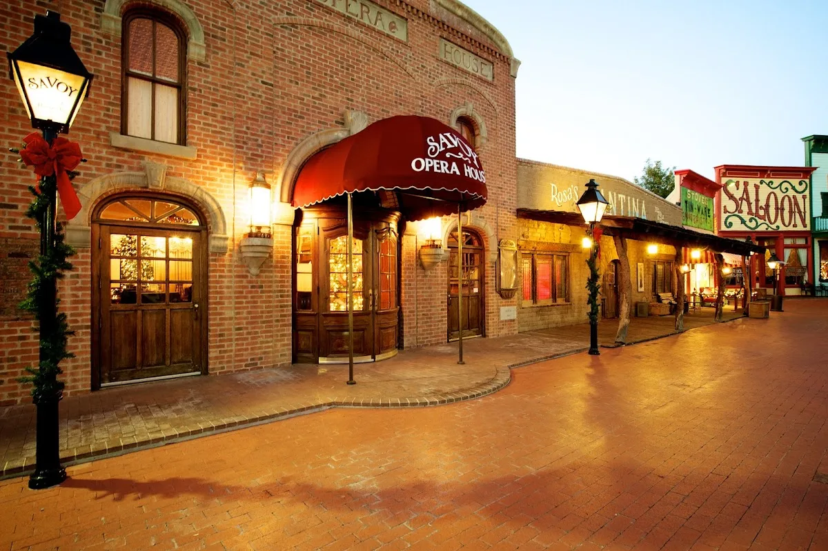 Savoy Opera House gallery