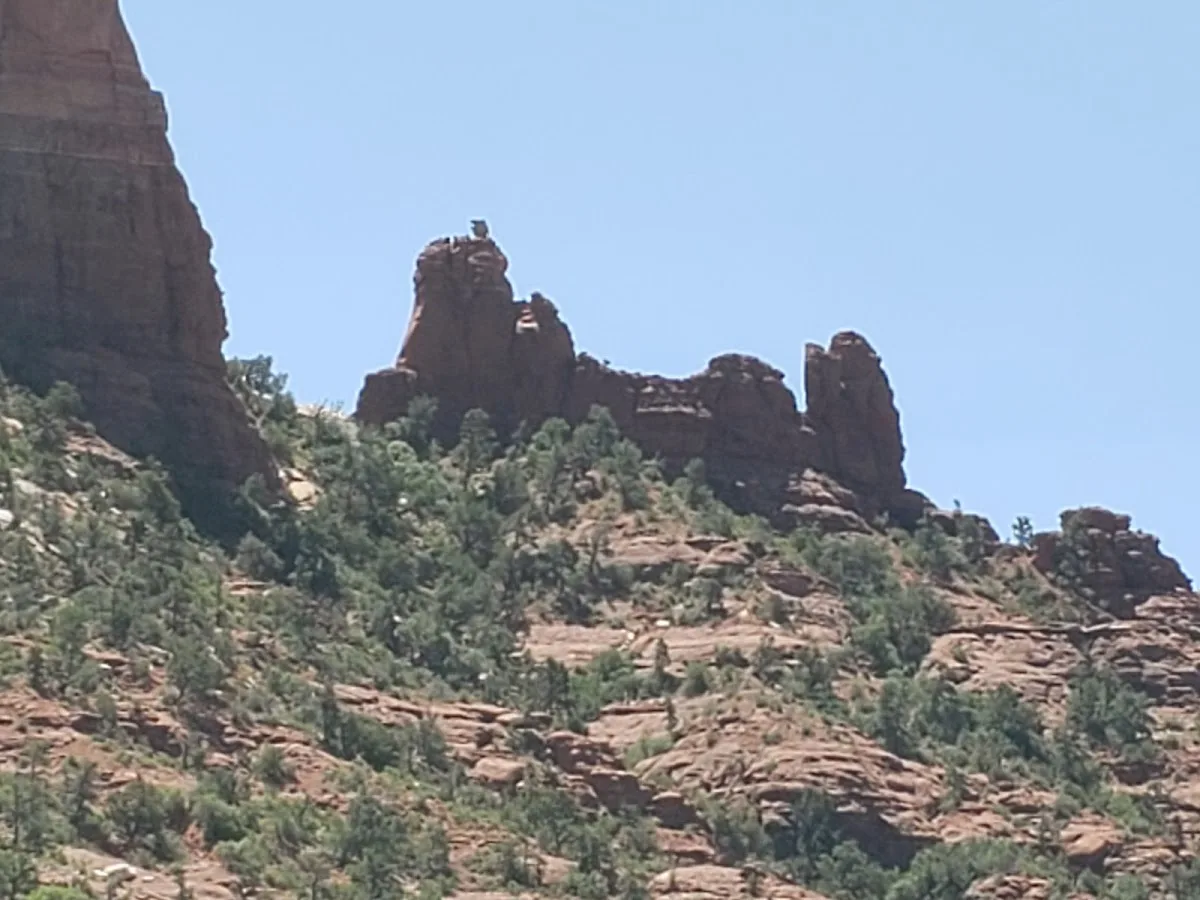 Sedona Creative Life Center gallery