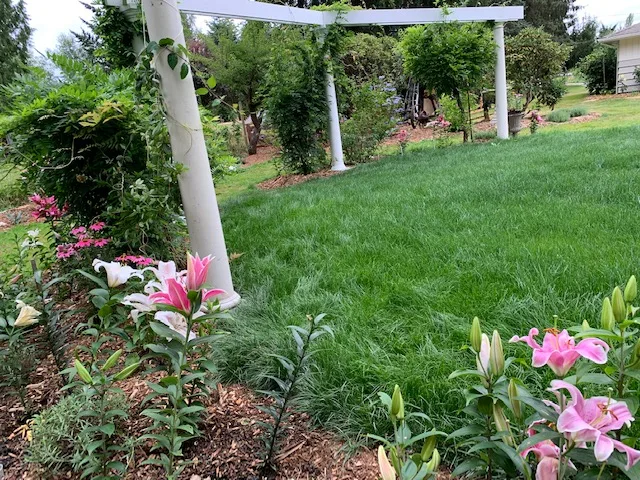 Sign and Celebrate- Officiant and Wedding Services gallery