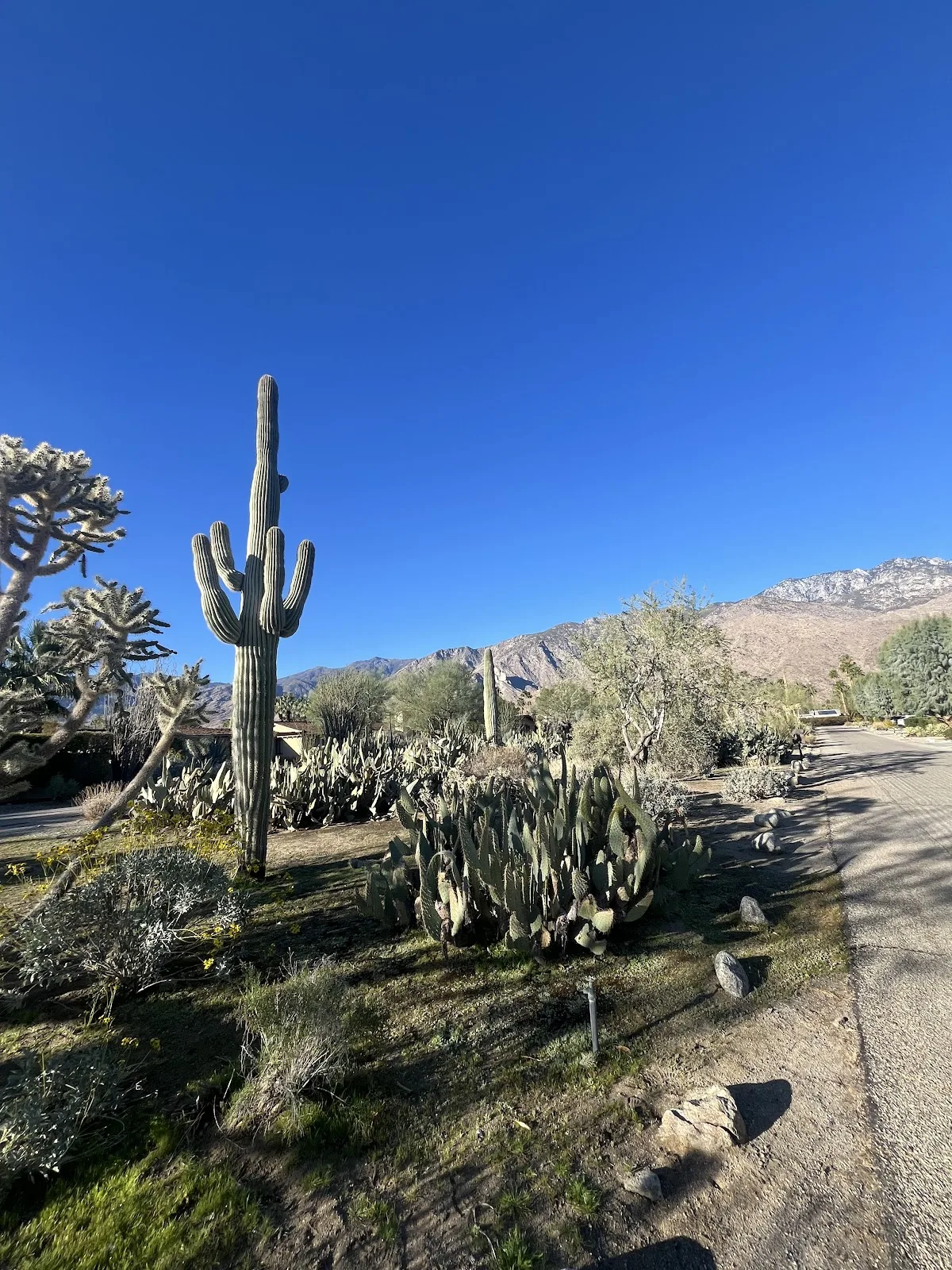 Smoke Tree Ranch gallery