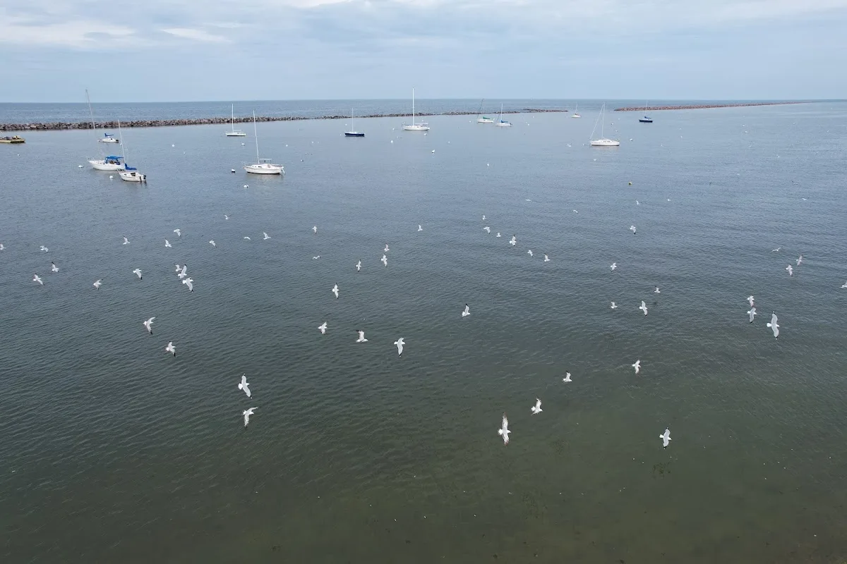 South Shore Pavilion gallery