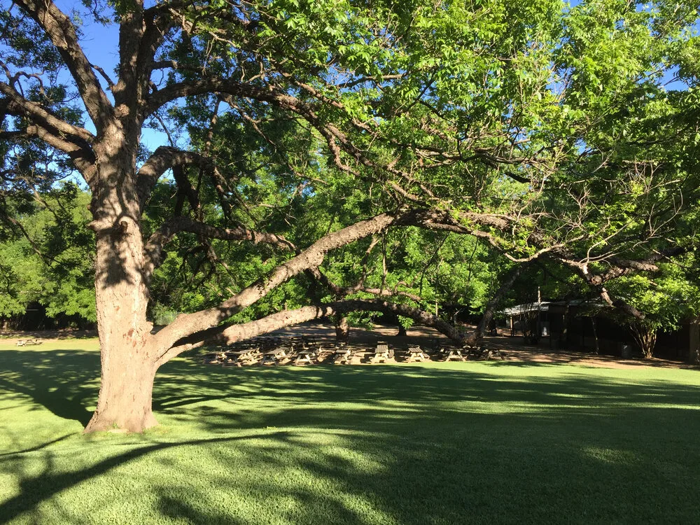 Springdale Station gallery