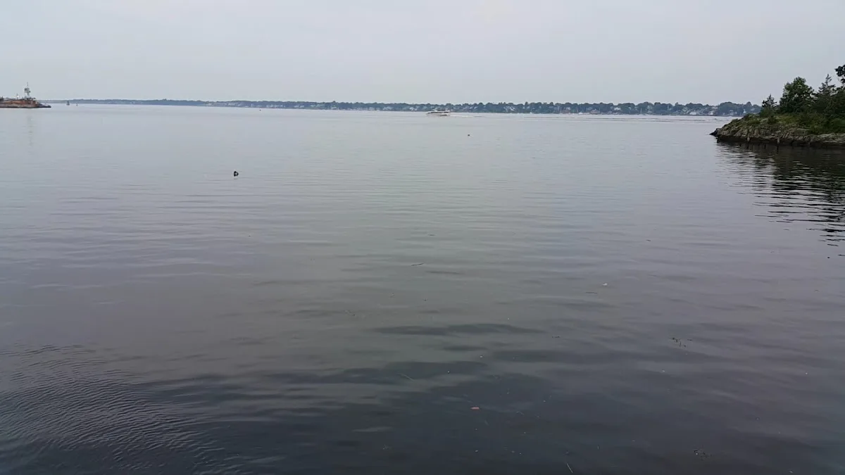 Squantum Association gallery