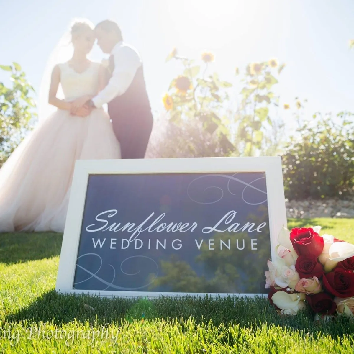 Still Water Hollow gallery