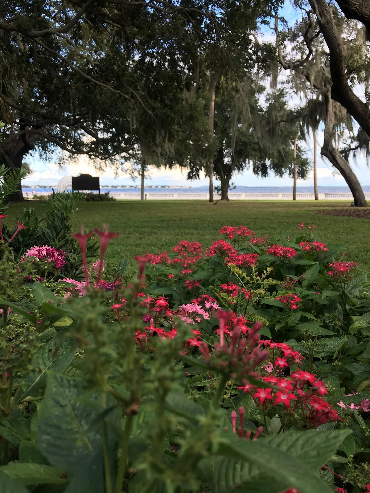 Tampa Garden Club gallery