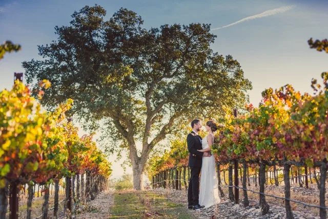 Terra Mia Resort and Wedding Venue