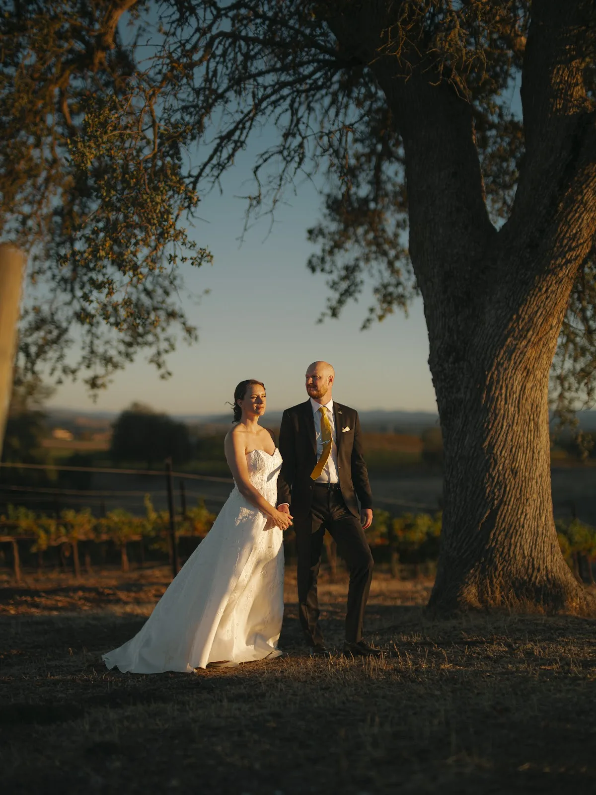 Terra Mia Resort and Wedding Venue gallery