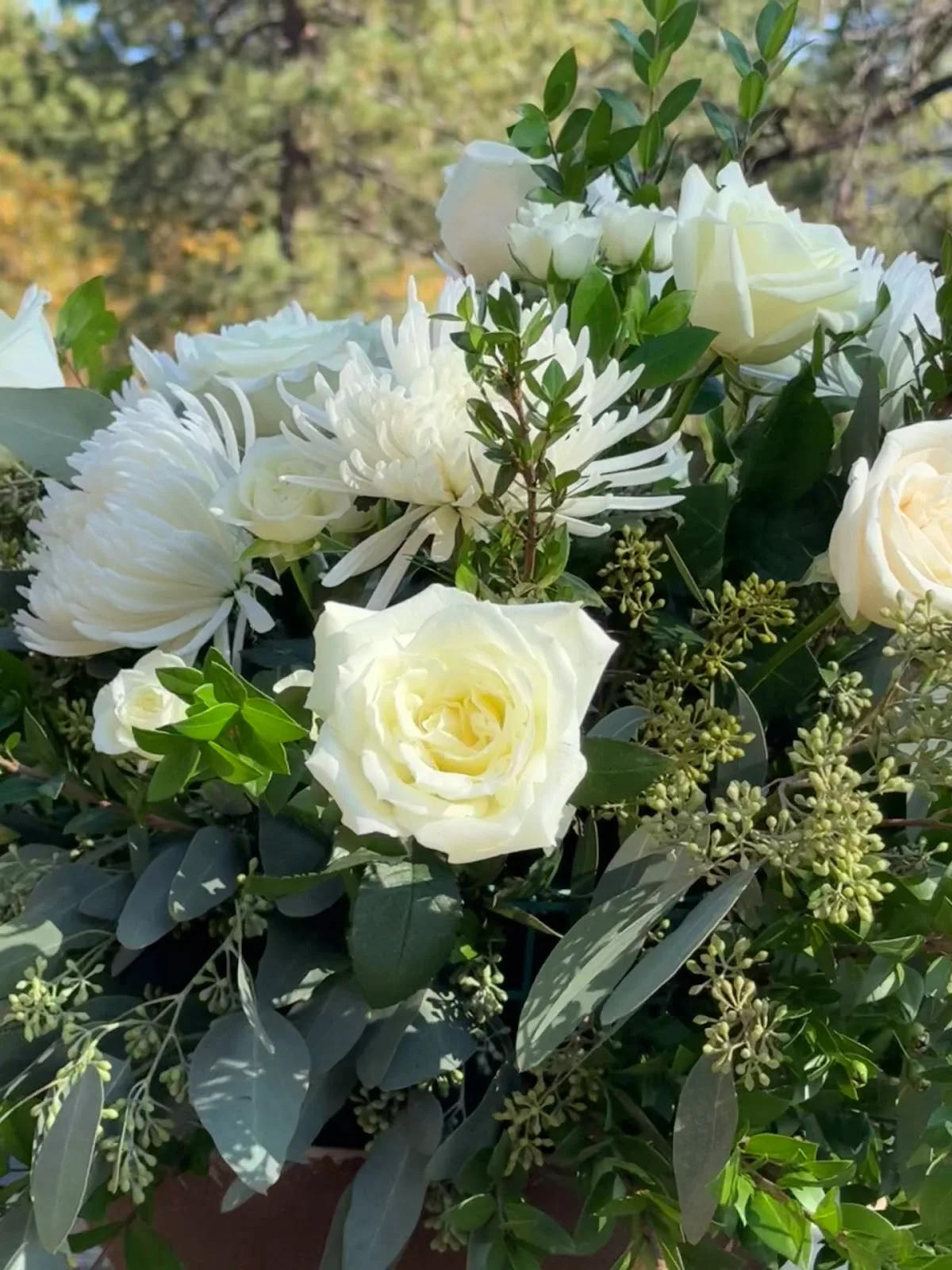 The Chateau at Incline Village gallery