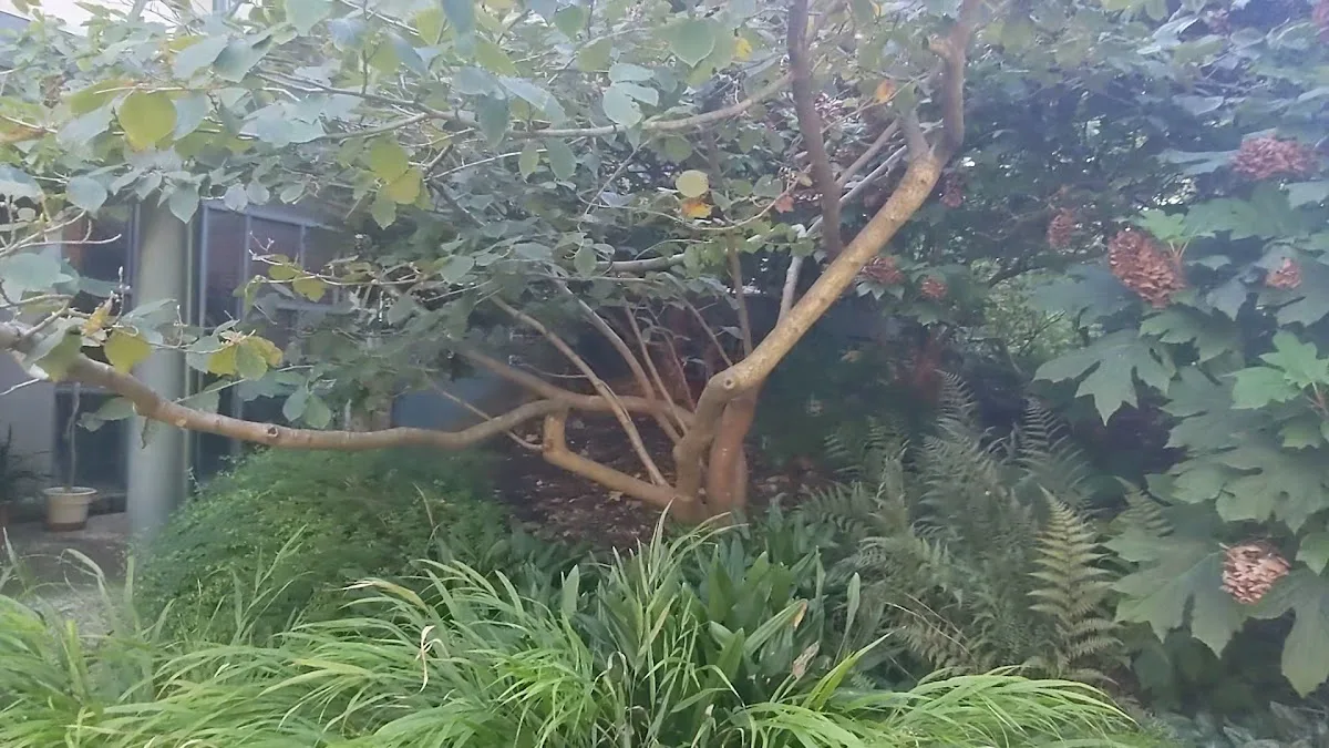 The Delaware Center for Horticulture gallery