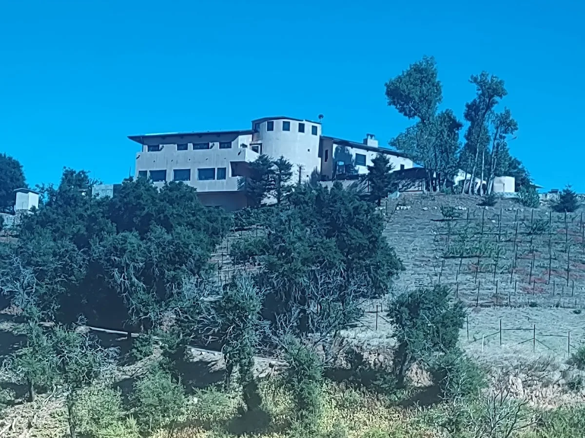 The Malibu Phoenix - Galactic Healing Sanctuary gallery