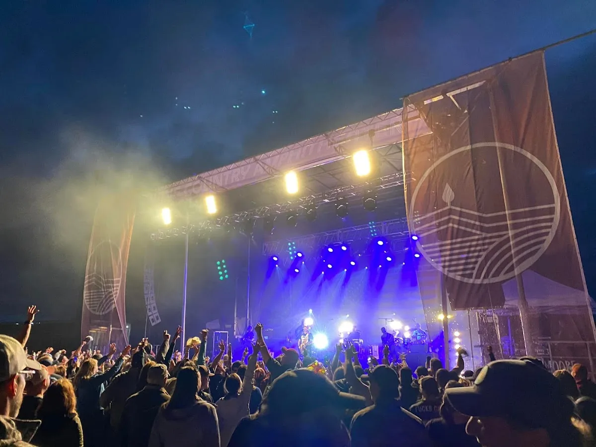 The Motor Co. gallery