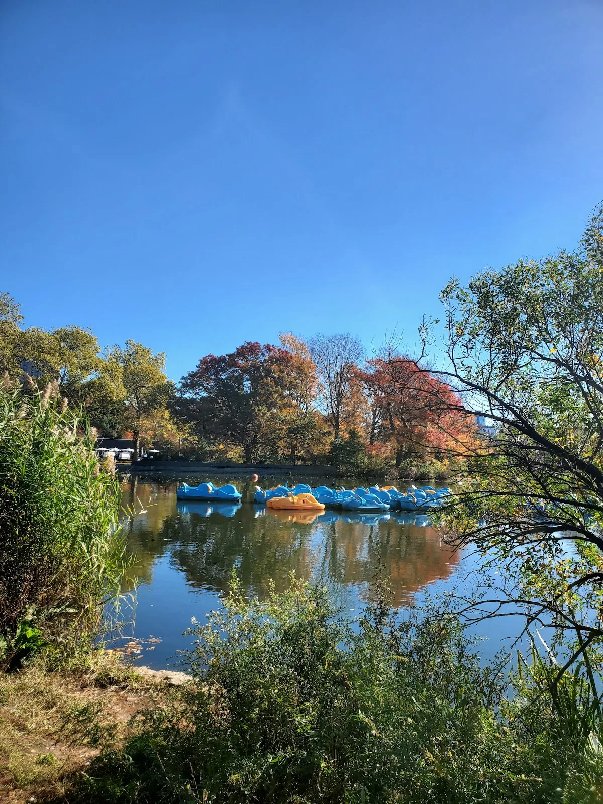 The Picnic House in Prospect Park gallery