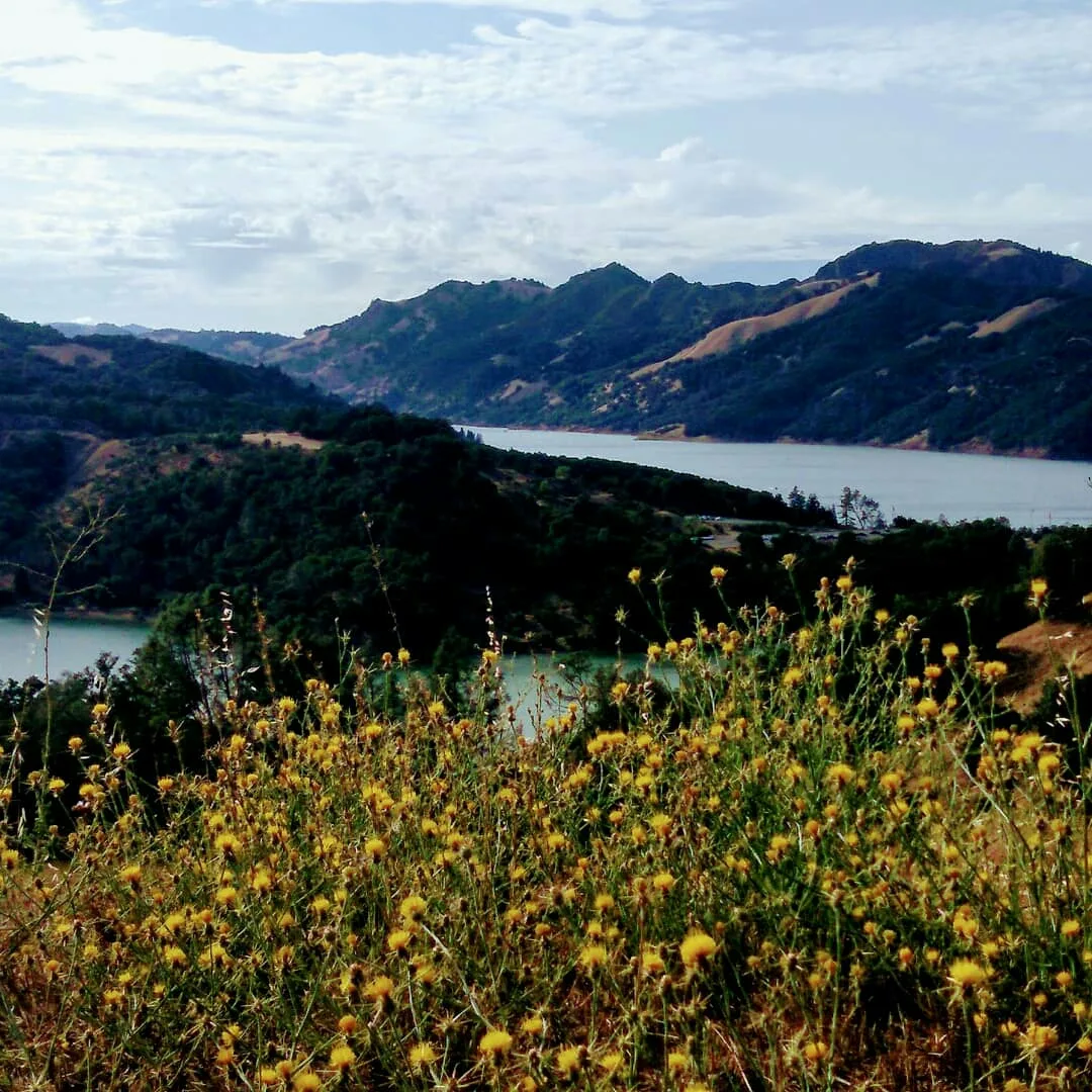 The Ranch At Lake Sonoma gallery