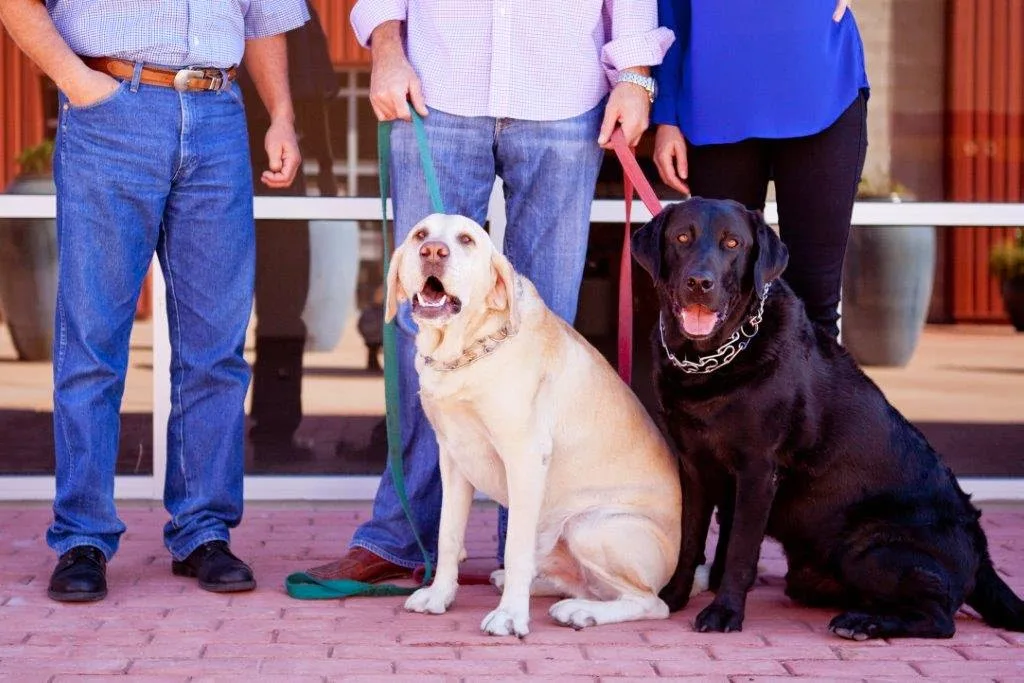 Tramway Plaza Event Center gallery