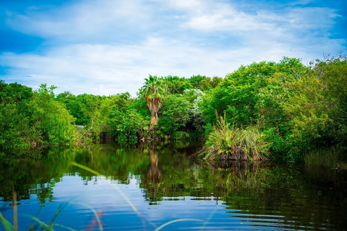 Tropical Garden Weddings & Events — Garden & Outdoor in Key West, FL