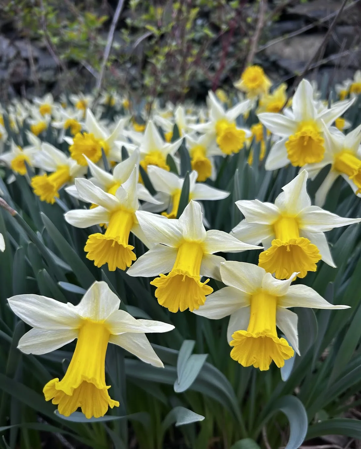 University of Delaware - Goodstay Center gallery