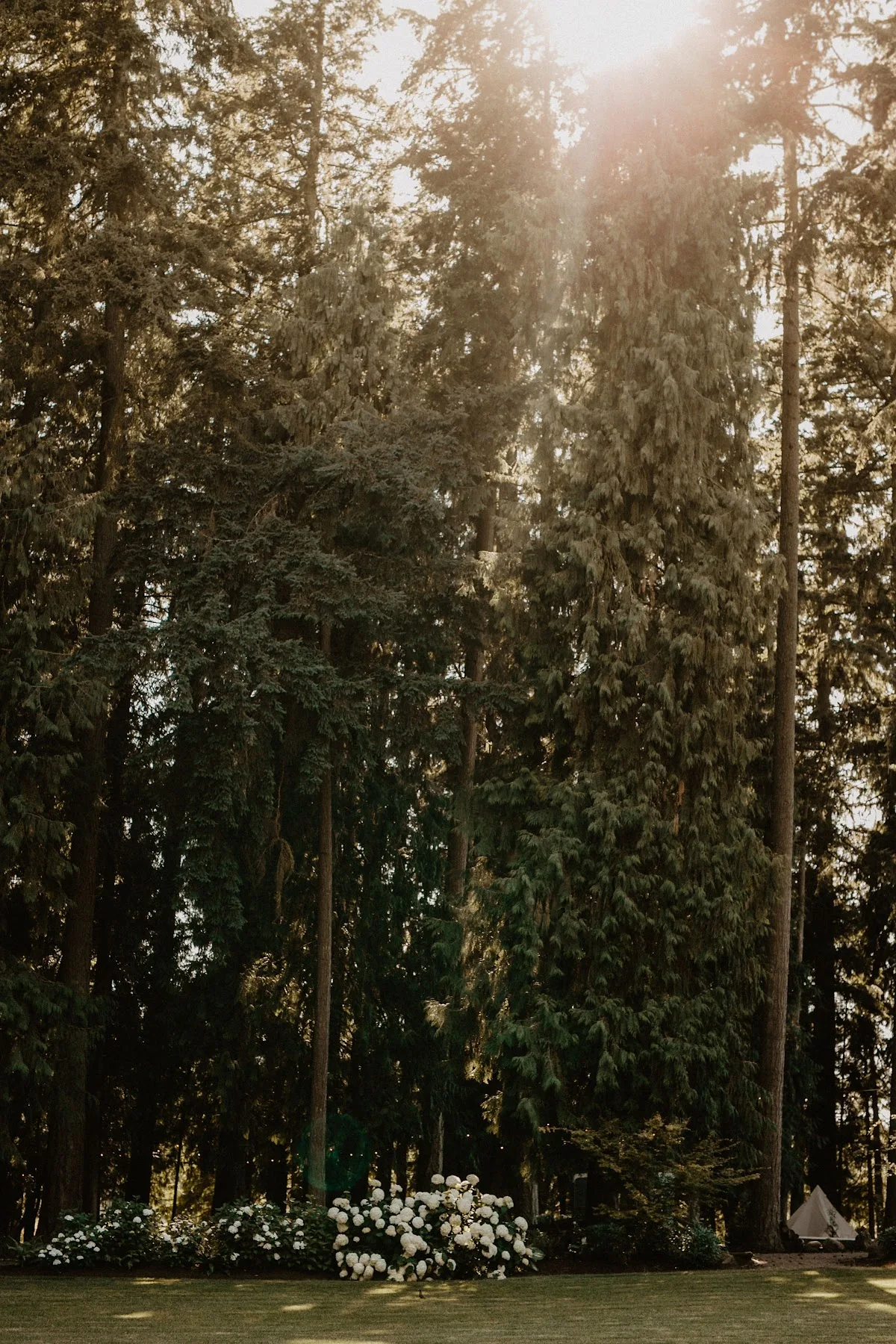 Weddings at Lavender Owl Farm gallery