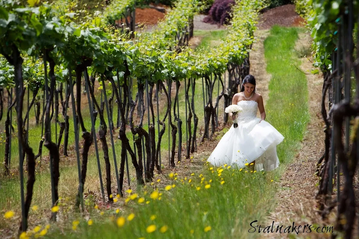 West Haven Vineyards gallery