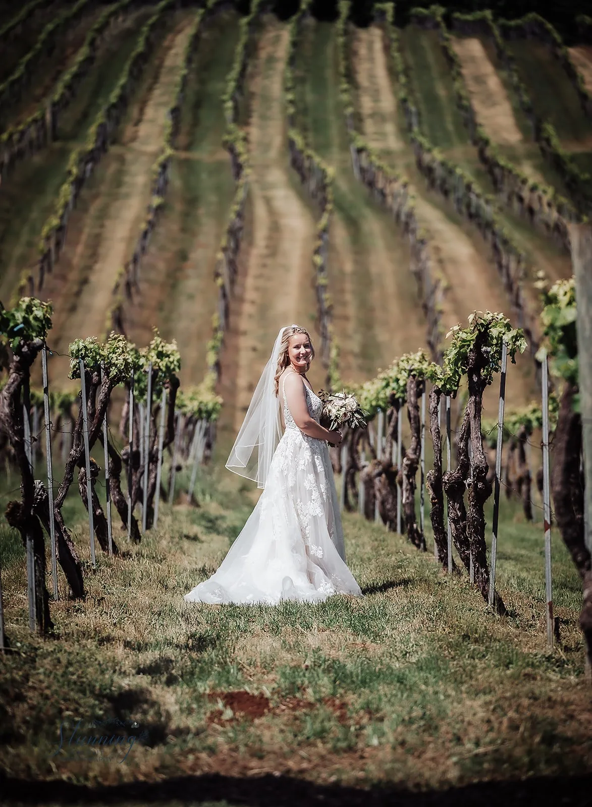 West Haven Vineyards gallery