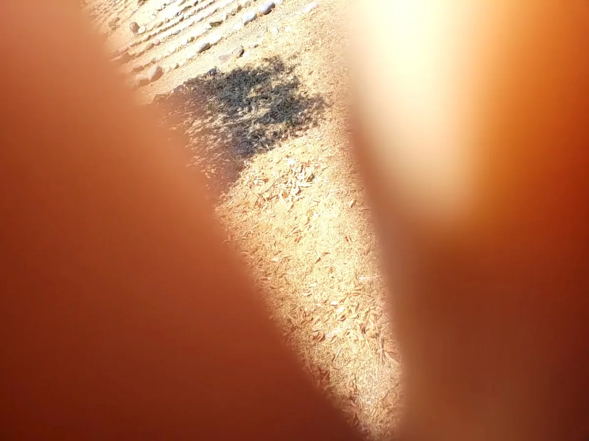 Westerbeke Ranch Conference gallery