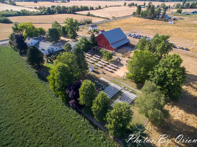 Yellow Gold Farm gallery